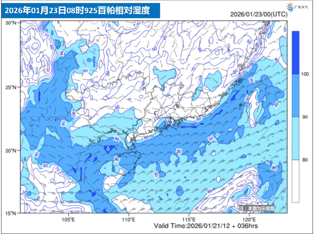 տ��ȫ�к�ɫԤ����������Ҫ���ˣ�