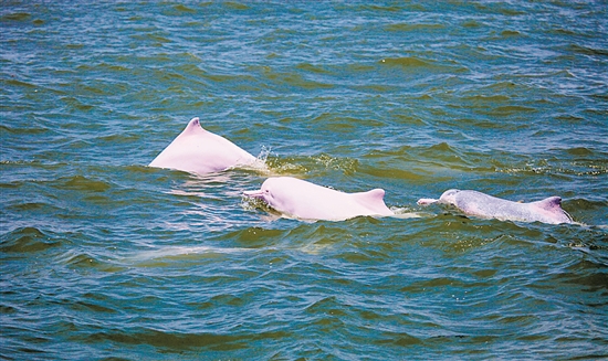 �л��׺��೩������̺���㶫ʡ���������Ż���վ