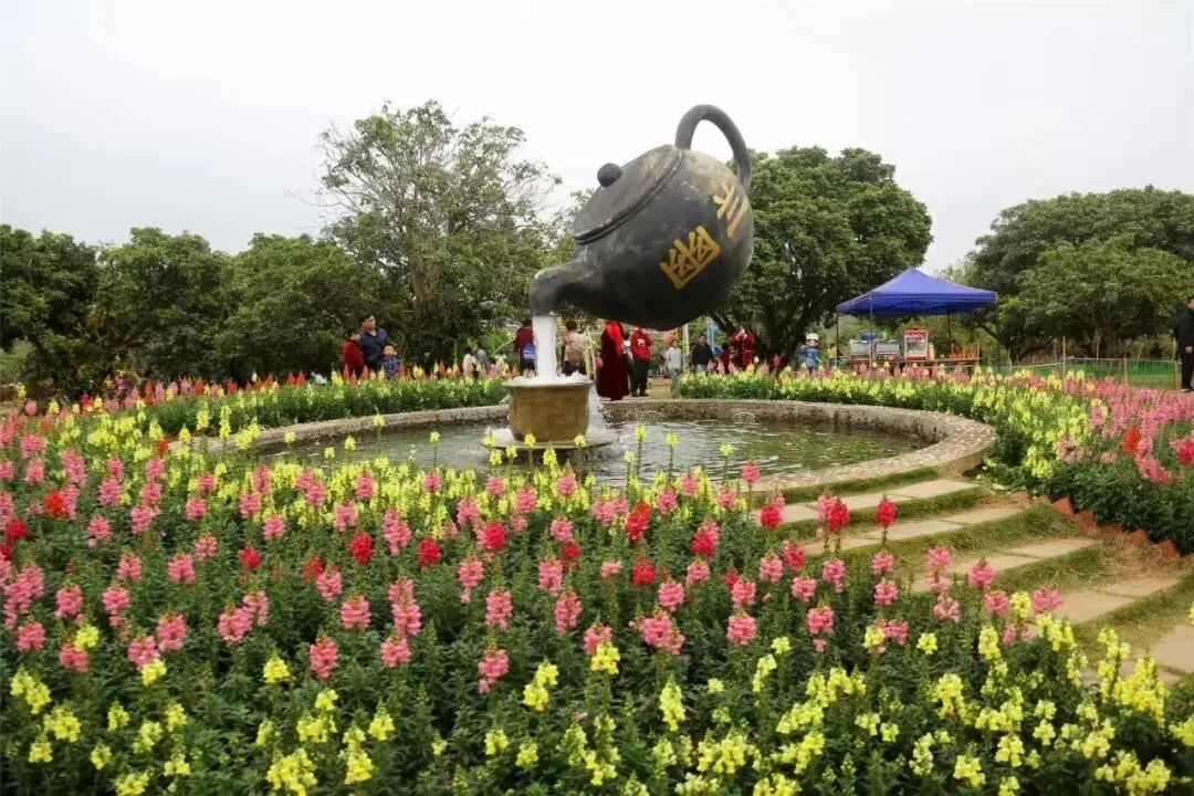 Ԫ���������ݣ�ר�������Żݺϼ�����~